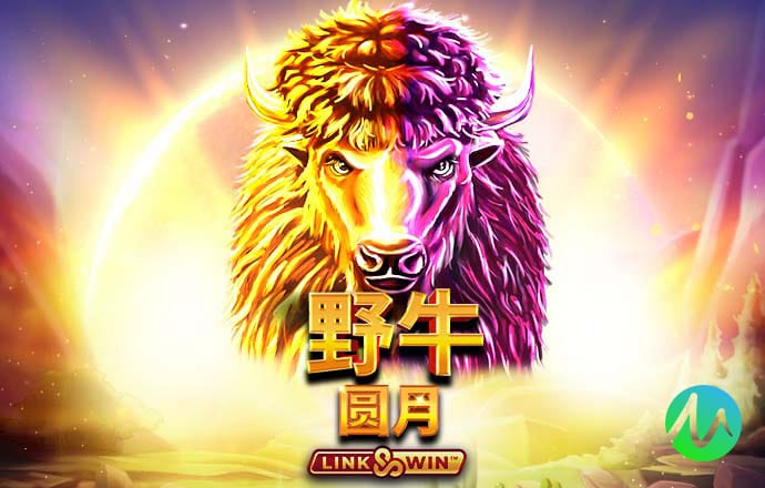 bob手机网页登录入口